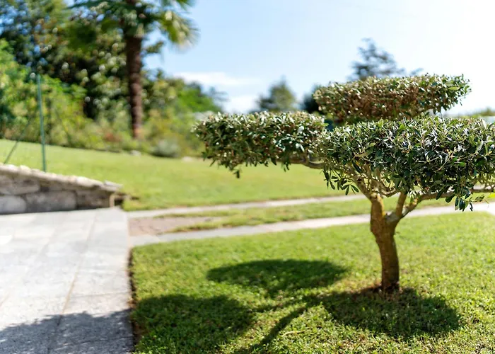 Residenza Jasmine Grey 펜션 베르바니아