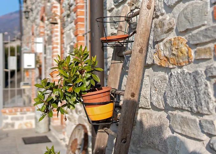 Residenza Jasmine Grey Verbania